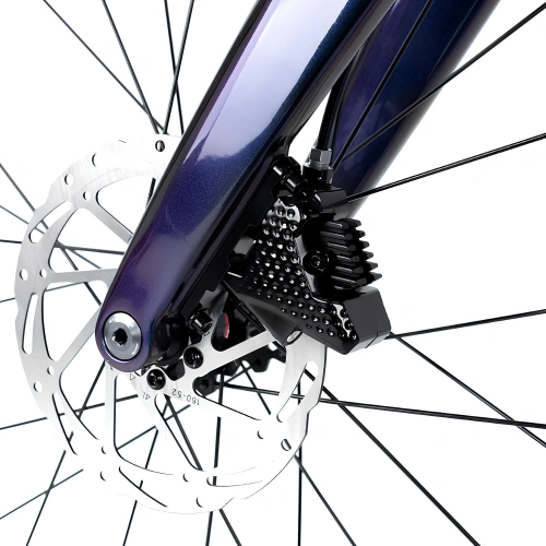 Bicicletta con Telaio in Fibra di Carbonio - BT41 | Custom - Visuale Ravvicinata Bici