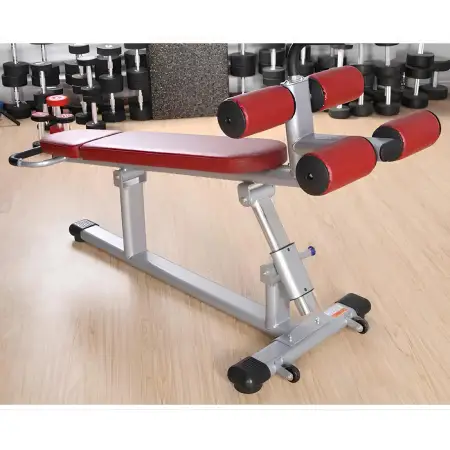 Banco Abdominal Profesional - P10 | Ajustable - Gimnasio - Vista de uso del gimnasio