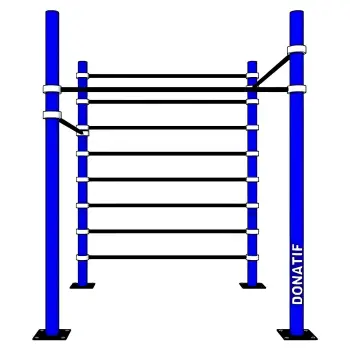Rack Calisthenics a Gabbia con Spalliera - D100 | Wall Bar | Palestra - Visuale Completa Attrezzo 2
