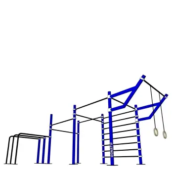 Rig Calisthenics - E360 D100 | Street Workout | Professional - Full View Tool