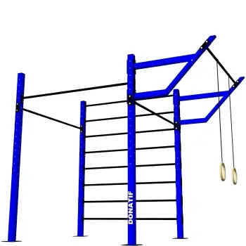 Cage Calisthenics Station with Backrest and Rings - D80 Pro | Gym - Full view of equipment