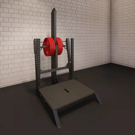 Machine à squat à la ceinture - Professionnel | Sur mesure - Vue complète de la pièce