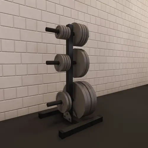 Bumper Rack - Disc Gepäckträger | Individuell - Ansicht mit eingelegten Discs