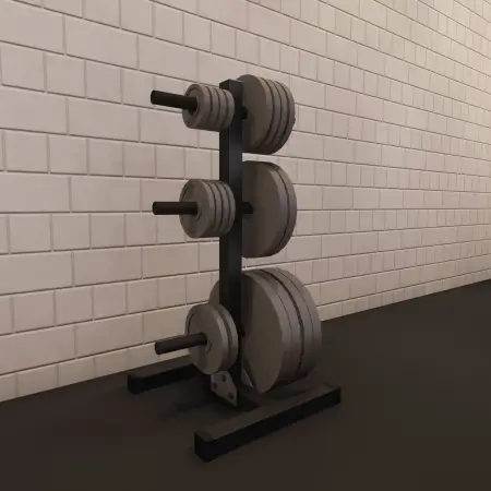 Bumper Rack - Disc Gepäckträger | Individuell - Ansicht mit eingelegten Discs