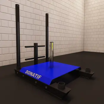 Trineo Personalizado Multientrenamiento para Ejercicio 2