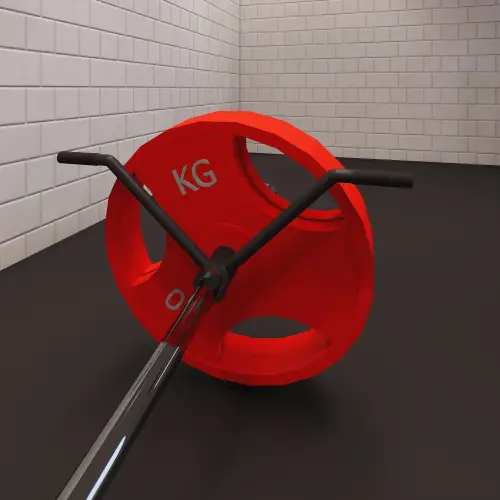 Maniglia Doppia T-Bar Row | Realizzata su Misura - Visuale Completa nella Stanza