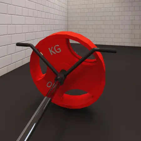 Doble manija T-Bar Row | Hecho a medida - Vista completa de la habitación