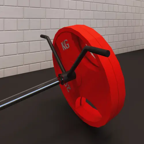 Double Handle T-Bar Row | Custom Made - Close View of Discs