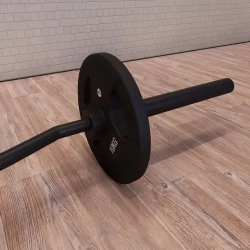 Buffalo Bar - 25, 28, 50 mm | Custom Made - Close-up view of the Disc