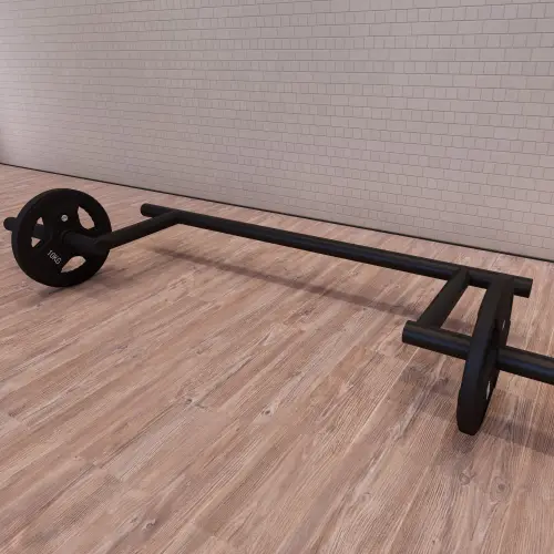 Cambered Squat Bar - 25, 28, 50 mm | Realizzato su Misura - Visuale Completa nella Stanza
