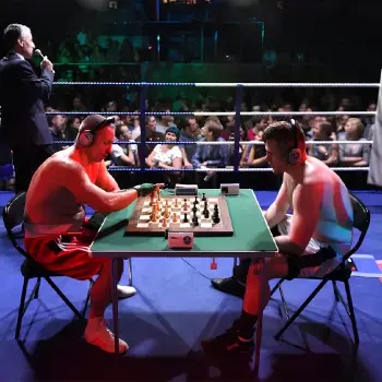 Boxing Chess Ring - Chess Boxing | Regulation - Full View 2