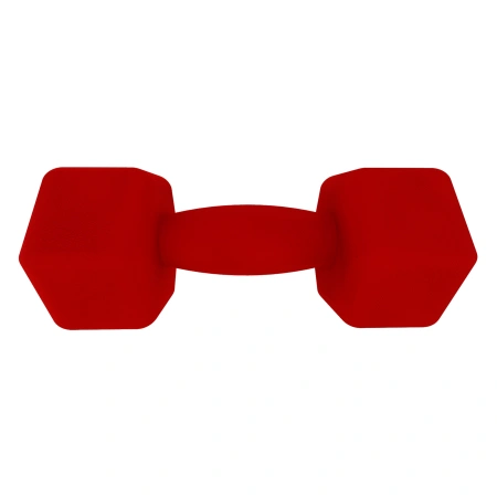 2 Kg Neoprene Handlebar - Non-slip | Fitness - Front View