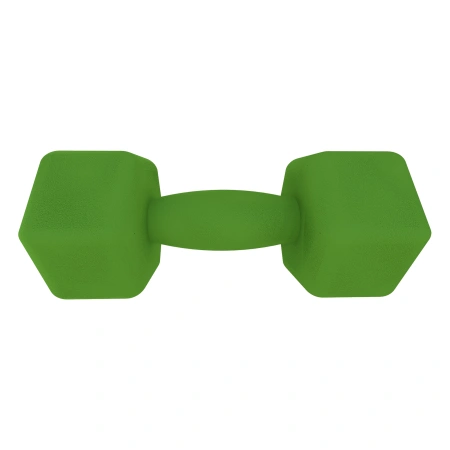 Manubrio in Neoprene da 2,5 Kg - Antiscivolo | Fitness - Visuale Frontale