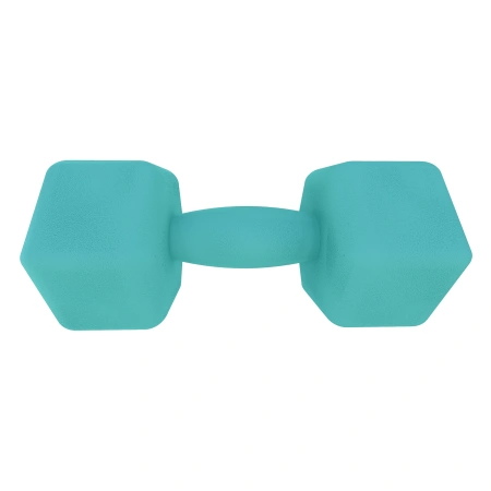 4 kg Neopren Hantel - rutschfest | Fitness - Vorderansicht