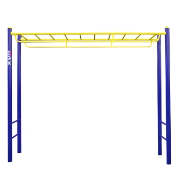 Outdoor Calisthenics Monkey Bar COA820 Professional