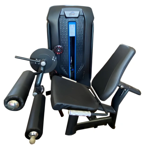 Leg Extensions & Leg Curl - X6 | Rimini Wellness Fair 2024 - View without Background