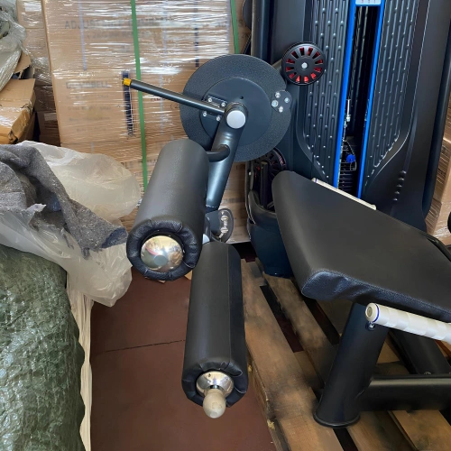 Extensions de jambes et flexion des jambes - X6 | Salon du bien-être de Rimini 2024 - Vue sur Leg Curl