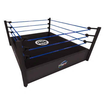 Ring de Lutte - Surélevé 90 cm | Taille variable - Vue complète