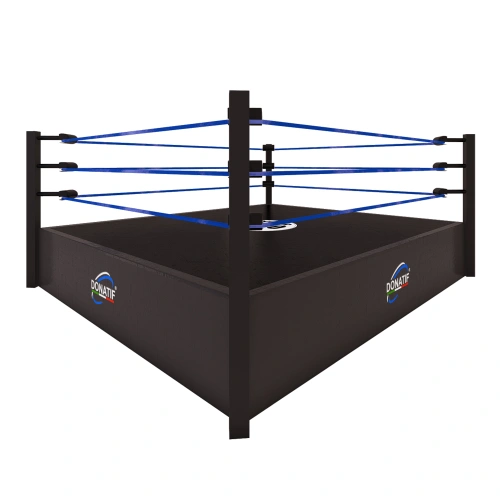 Wrestling Ring - Raised 90 cm | Variable Size - Logo View