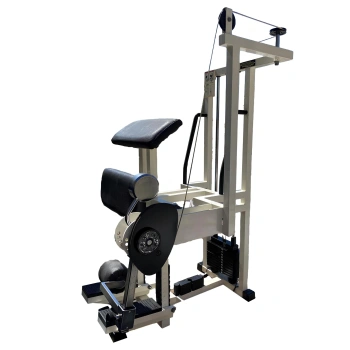 Machine à Ischio-jambiers Debout TechnoGym d’Occasion