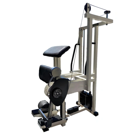 Standing Leg Curl for the Gym - TechnoGym | Second Hand - Front View