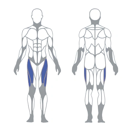 Machine à abducteurs - Panatta | Seconde main - Muscles visuels utilisés
