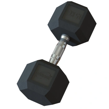15 Kg Rubberized Hexagonal Dumbbell - Professional - Full View