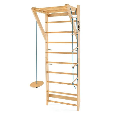 Backrest with Ladder and Disc Swing - S25 | Professional - Full View