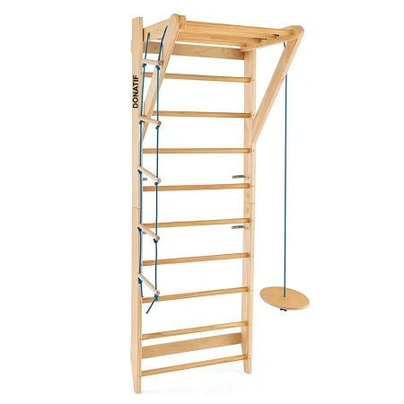 Respaldo con escalera y columpio de disco - S25 | Profesional - Vista lateral