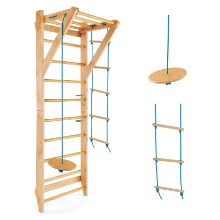 Respaldo con escalera y columpio de disco - S25 | Profesional - Componentes