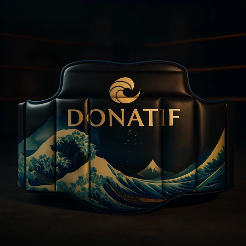 Protezione per Sport da Combattimento - PT3 | Professionale - Utilizzo