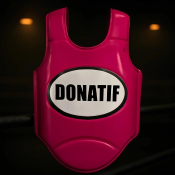 Protective Combat Vest - PT6 | Professional - Full View 2