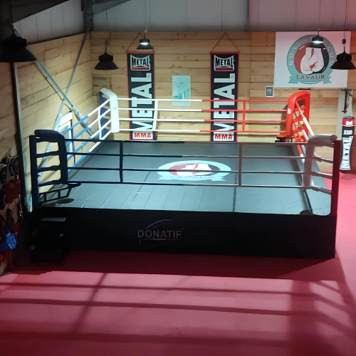 Boxring - Erhöhter Boxring 90 cm | Variable Größe - Ringansicht mit Kundenlogo