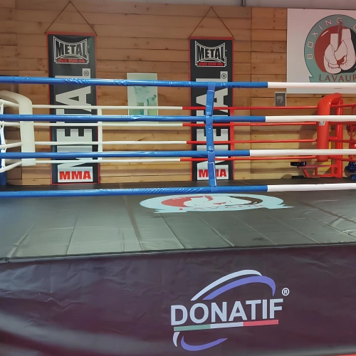 Boxing Ring - Raised Boxing 90 cm | Variable Size - Logo View Donatif