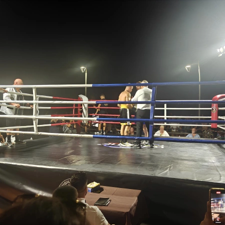 Boxing Ring - Raised Boxing 90 cm | Variable Size - Combat View