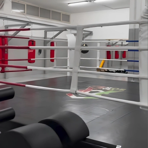 Anneau de Boxe Surélevé 50 cm | Taille variable - Vue latérale réelle