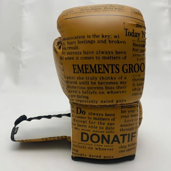 Guantoni da Boxe - GB20 | Professionali 2