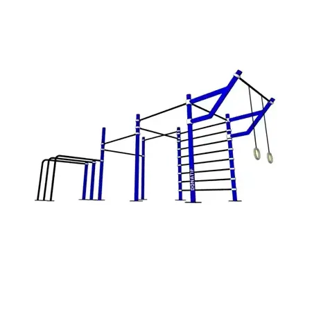 Calisthenics D100 Structures