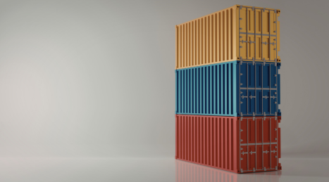 Container Gym: La Nuova Frontiera del Fitness Domestico