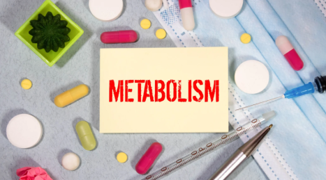 Metabolismo Lento: 7 Ormoni che Bloccano il Dimagrimento