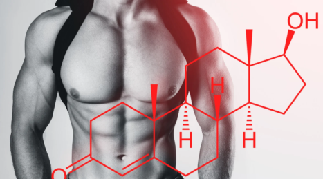 Testosterone e Insulina: Gli Ormoni Chiave della Composizione