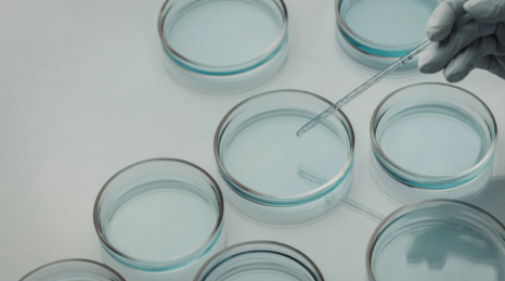 Somatotipi: Mito o Realtà? Analisi Scientifica