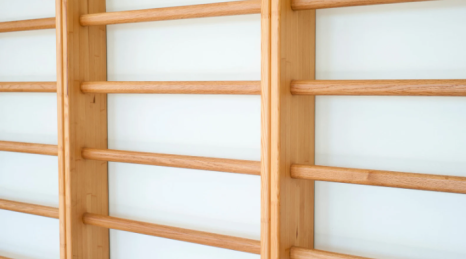 Spalliere Svedesi in Acciaio: Durata e Versatilità in Clinica