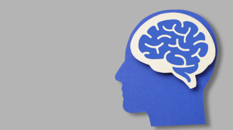 Suspension Systems for Neurological Rehabilitation