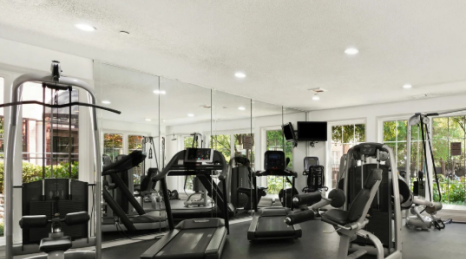 What material to choose for a professional gym with weights, functional and technical areas