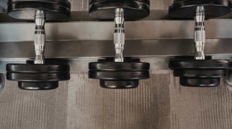 Quanti manubri servono davvero in uno studio PT o in una home gym evoluta