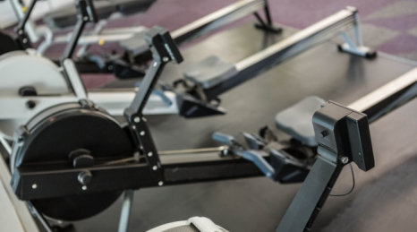 How to connect the rowing machine to an online training program: practical guide