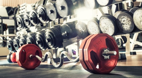 La guida definitiva all’attrezzatura da palestra: come iniziare, crescere e specializzarsi