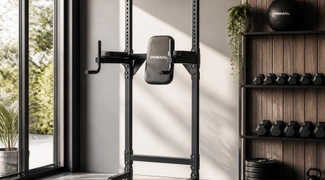 Barra de dominadas autoportante: Guía de compra para el gimnasio en casa