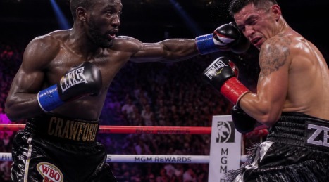 Guantes de boxeo profesionales: por qué invertir en piel auténtica